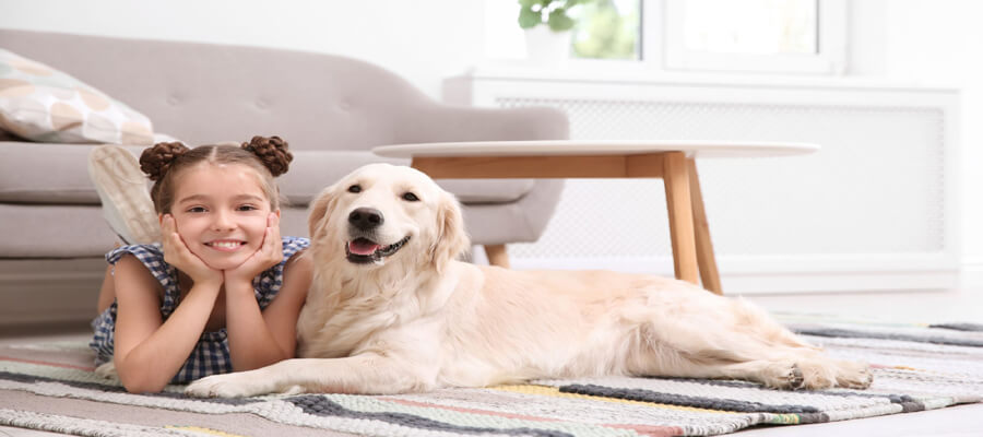Ultimate Guide to Puppy-Proofing Your Home for a Safe and Happy Puppy